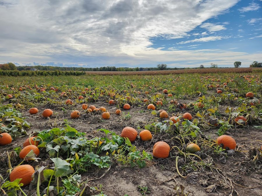 Barthel Fruit Farm