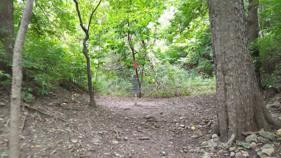 Cliff Drive Disc Golf Course at Kessler Park