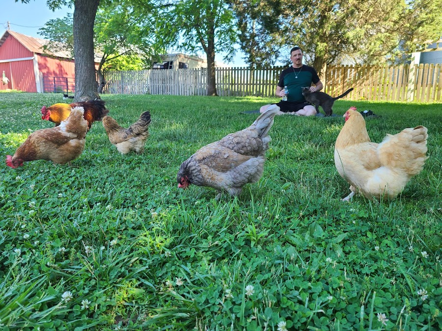 Harrison Farm