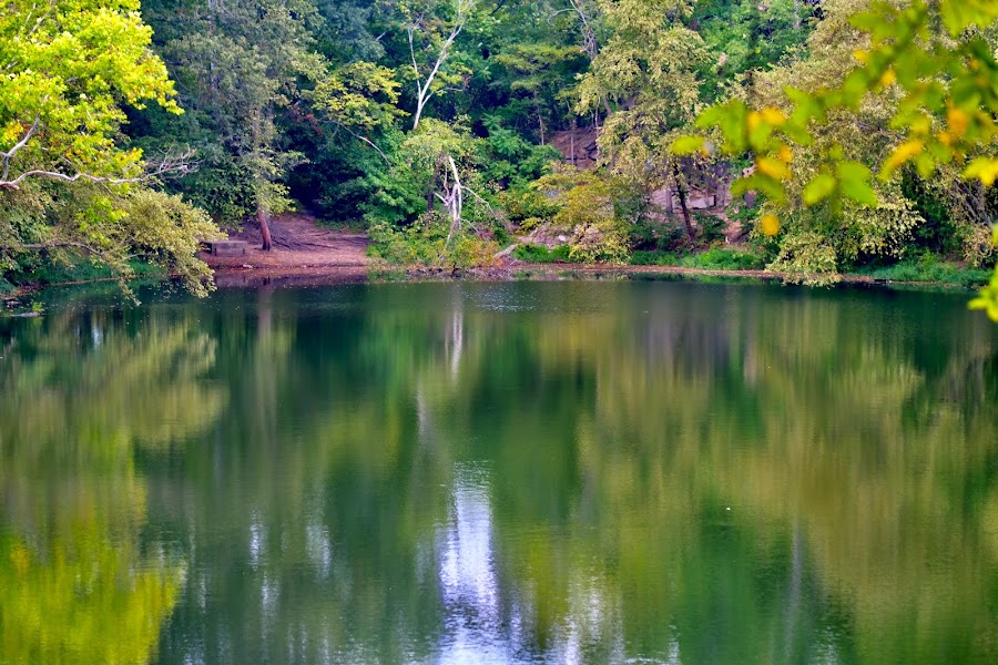 Belle Isle Quarry Pond