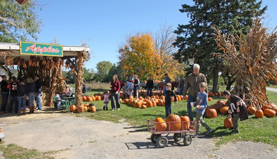 McGlasson Farms