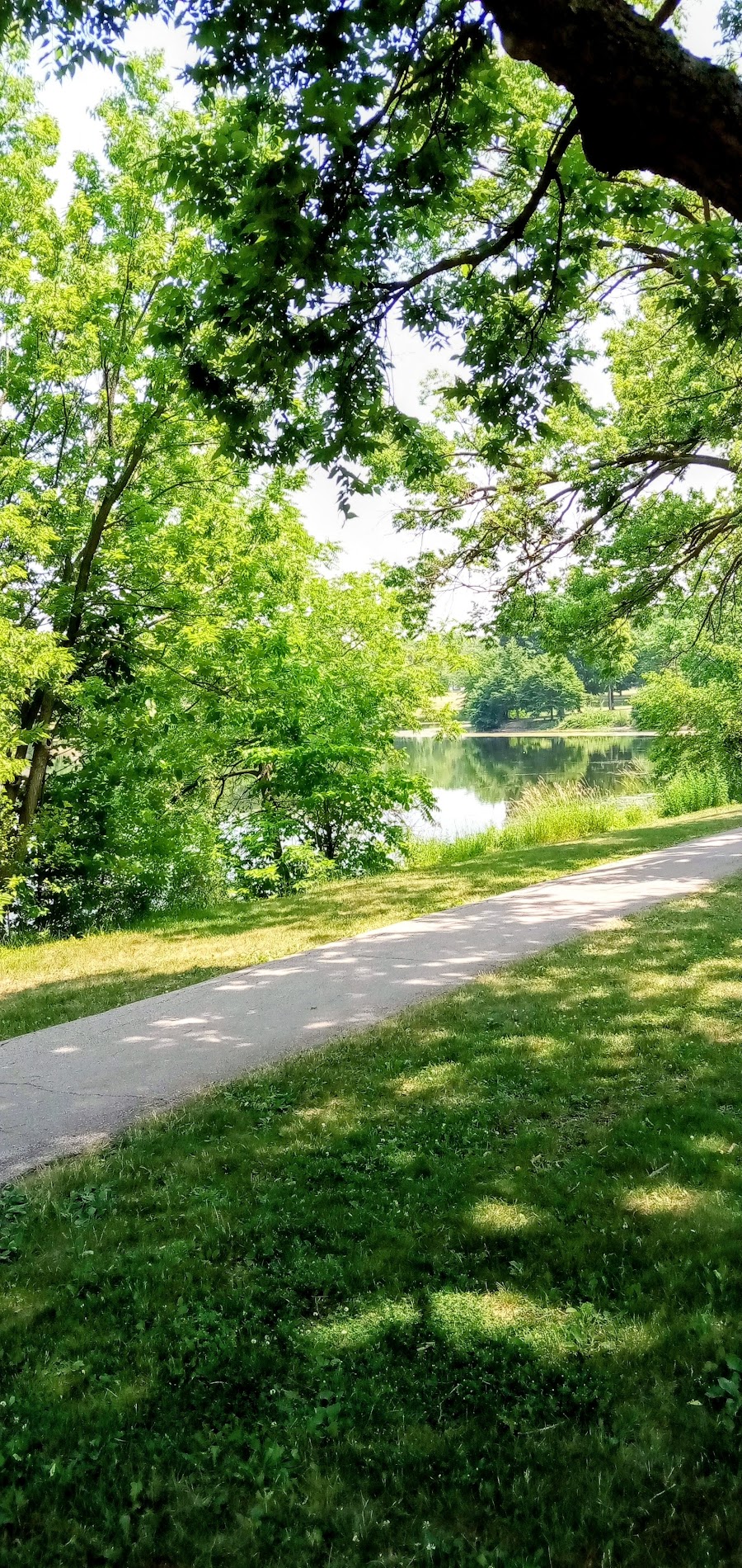Jackson Park Pond