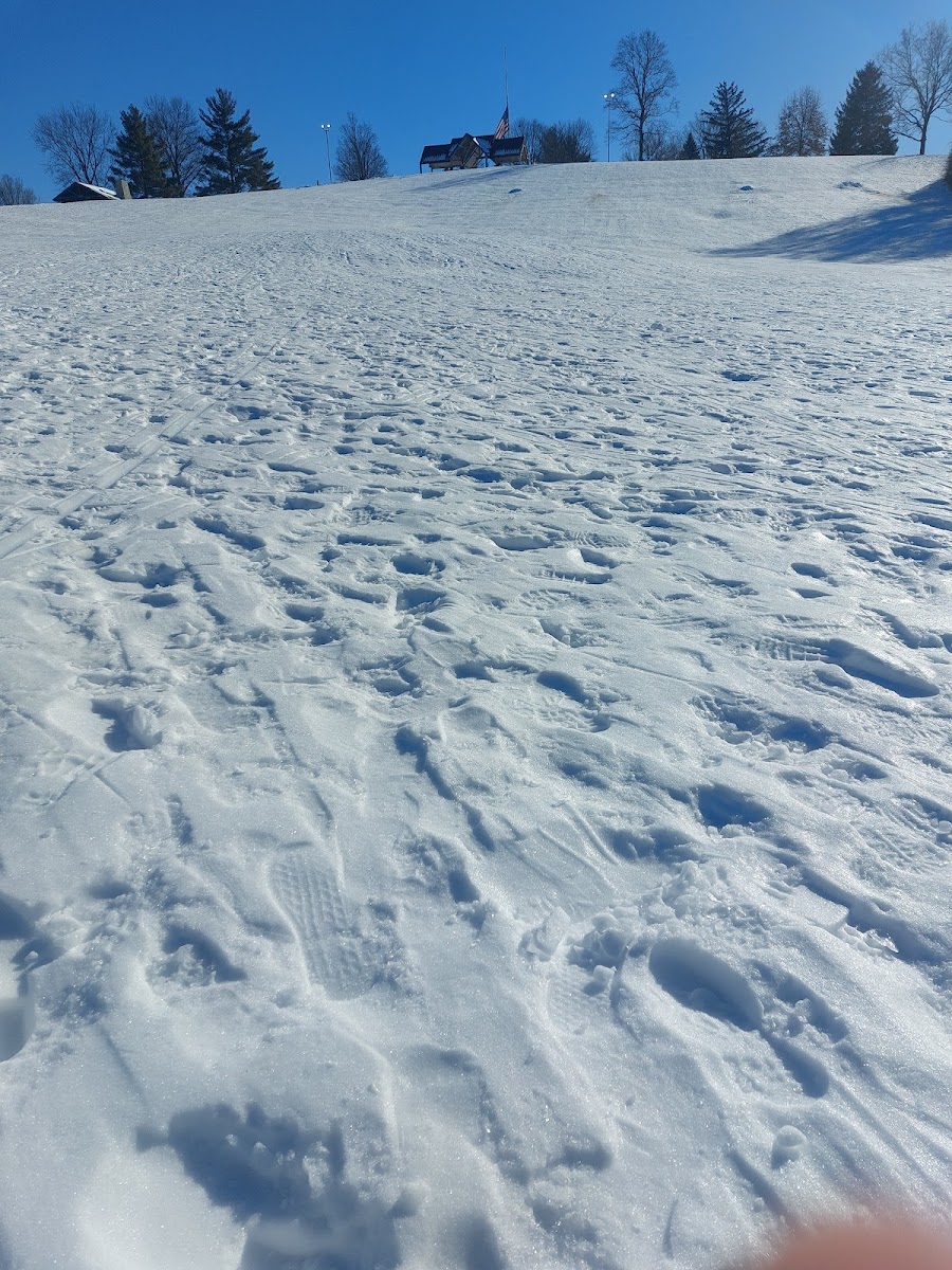 Harbin Park Sledding Hill