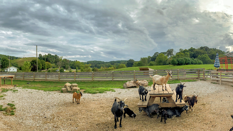 Fox's High Rock Farm