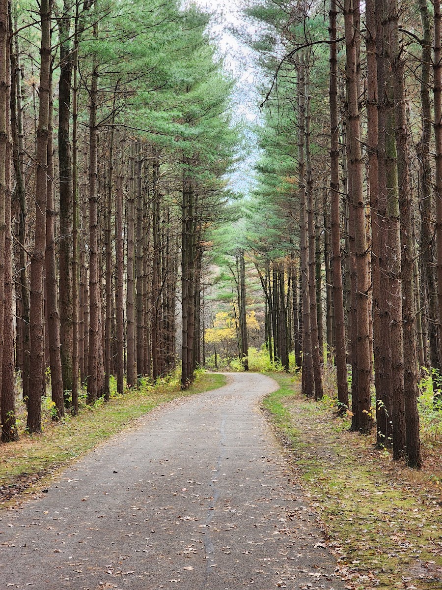 Walnut Woods Metro Park