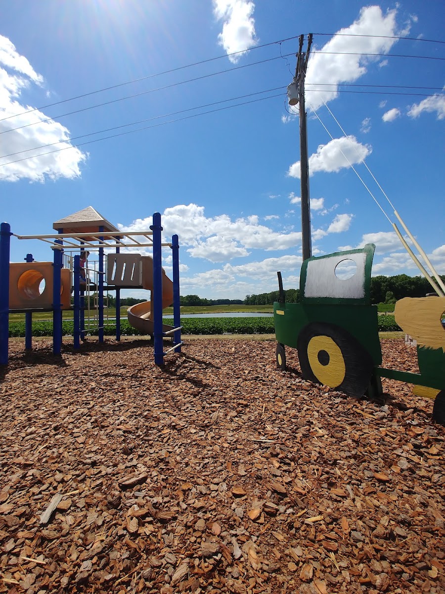 Cody Strawberry Farm