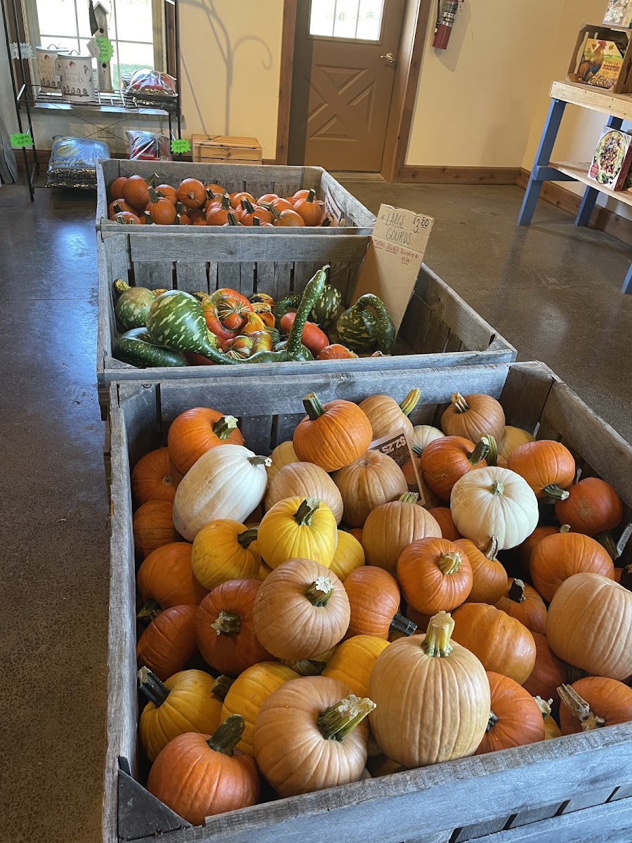 Rittman Orchards