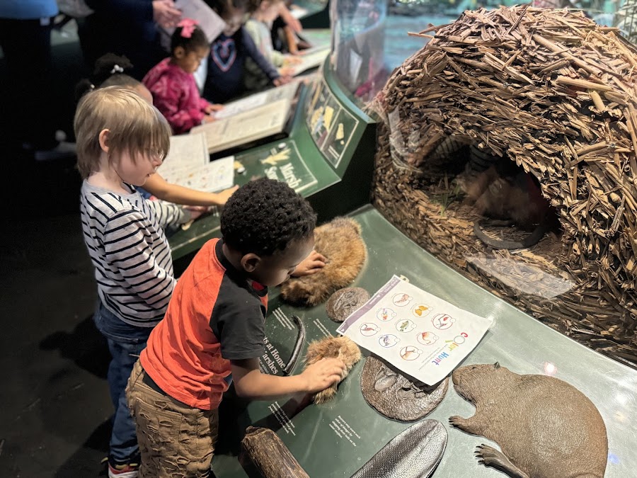 Grand Rapids Public Museum