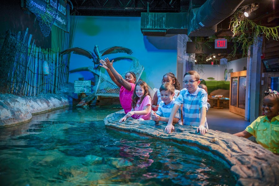 Catawba Science Center