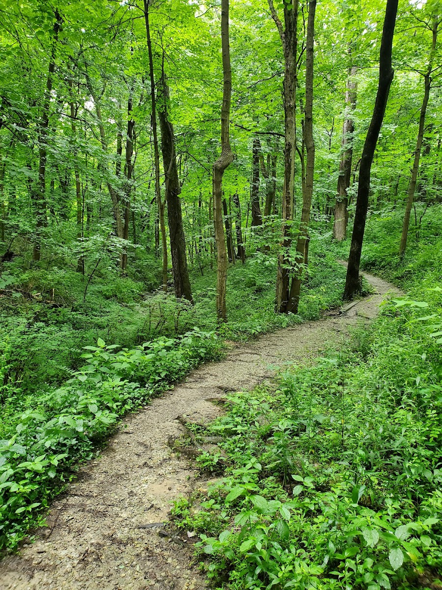 Stanbery Park