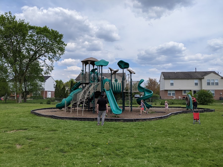Real Life Day Camp & Farm