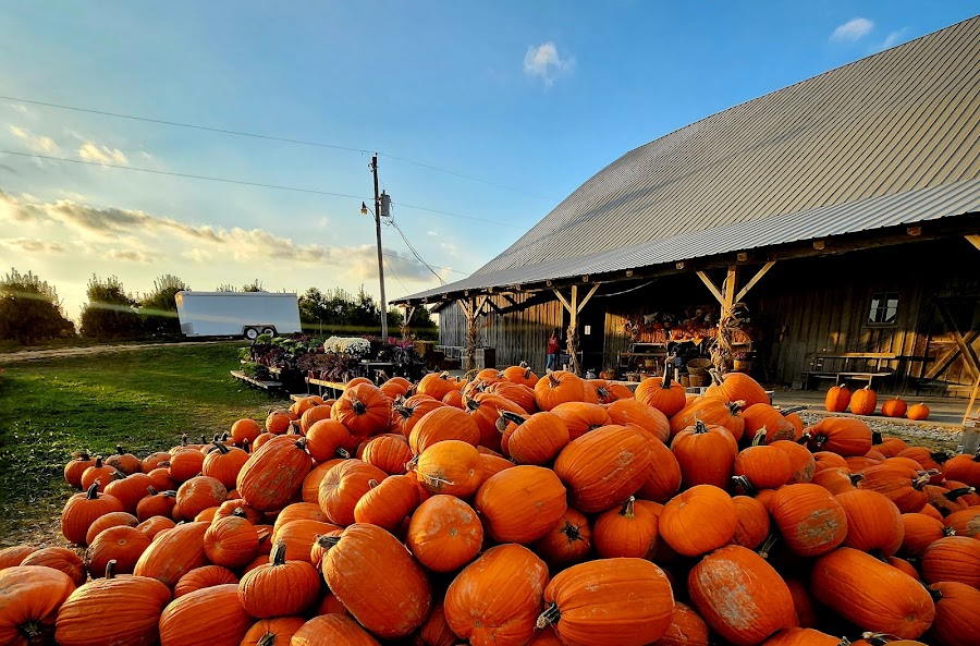 Beasley's Orchard