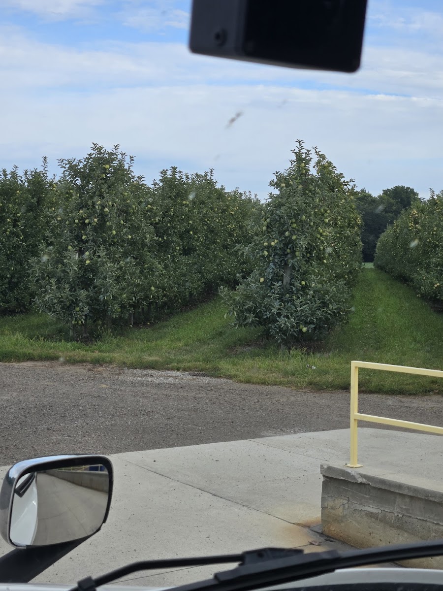 Applewood Orchards Inc