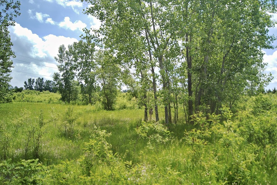 Sylvan Prairie Park