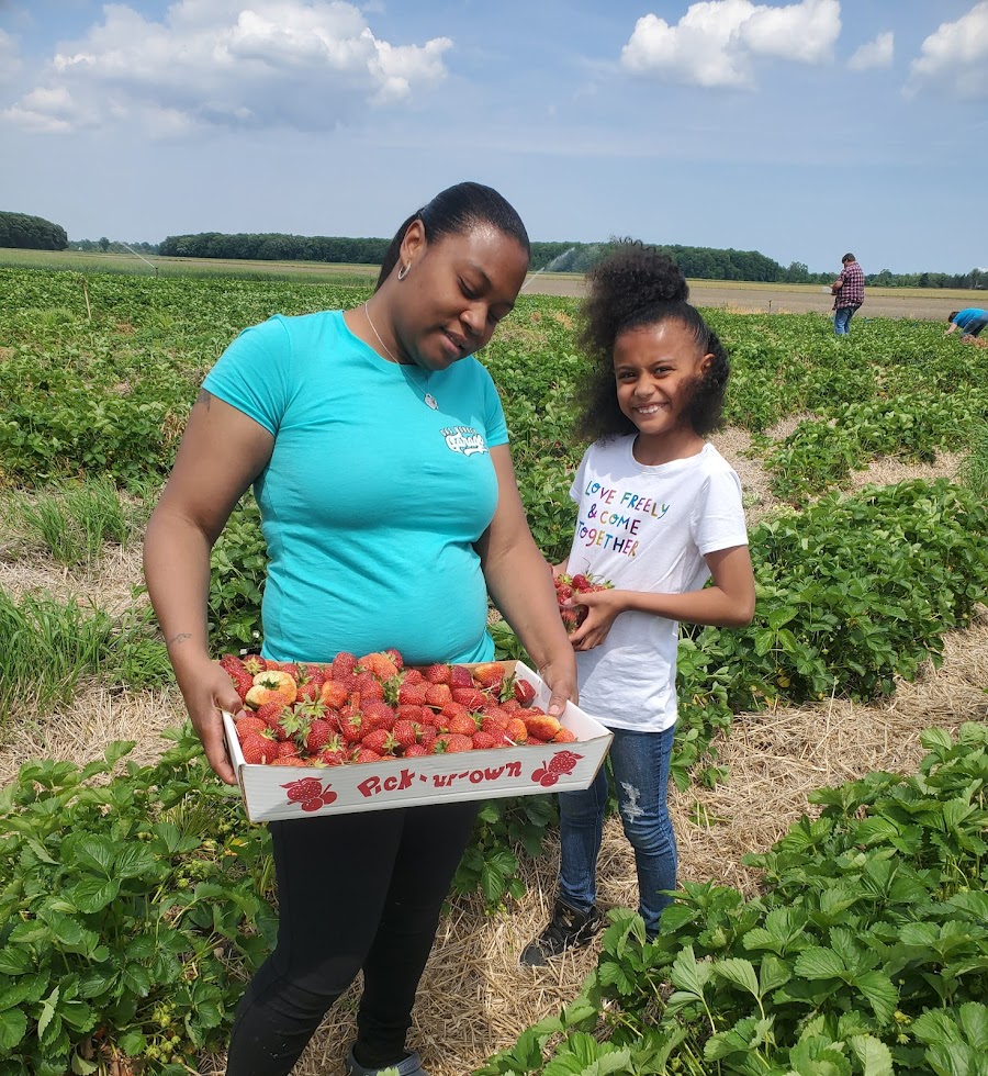 Stotz Strawberry Farm
