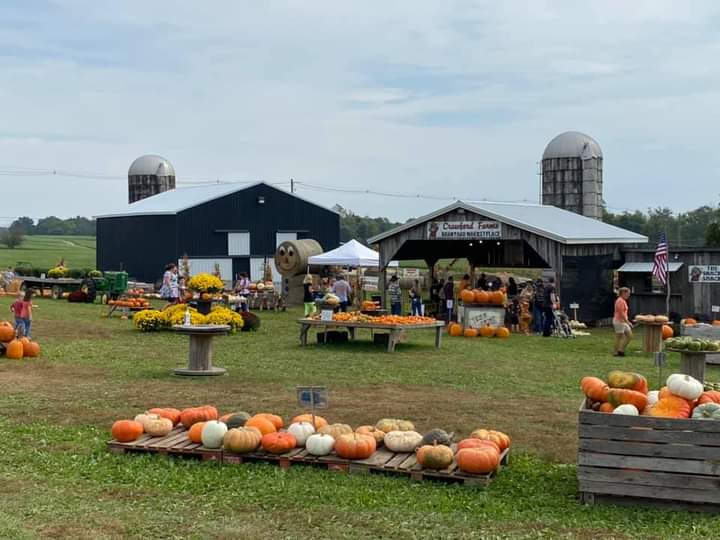 Crawford Farms Pumpkin Patch