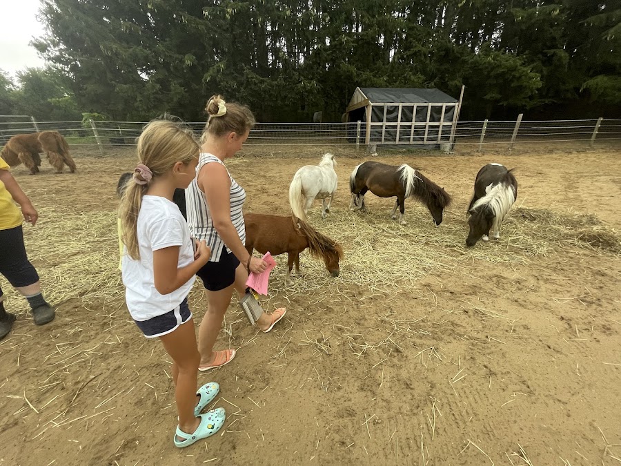 Fellinlove Farm