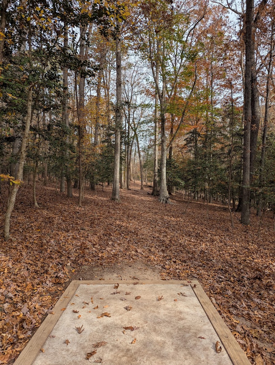 Forest Ridge Disc Golf Course