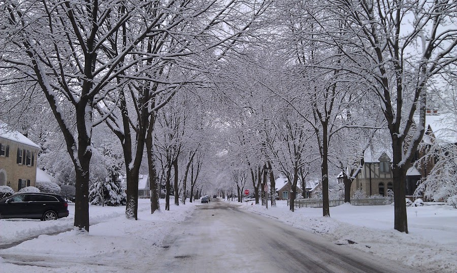 Shorewood