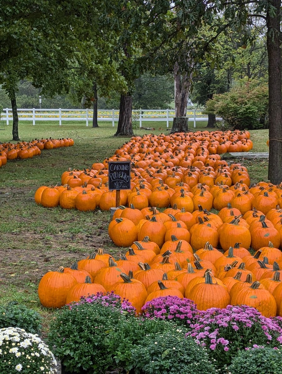 Peifer Orchards