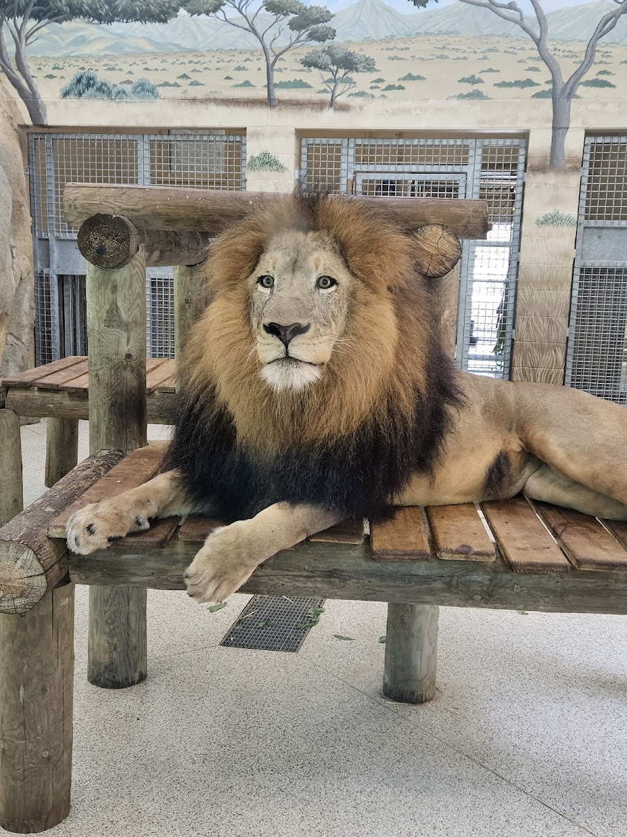 Potawatomi Zoo
