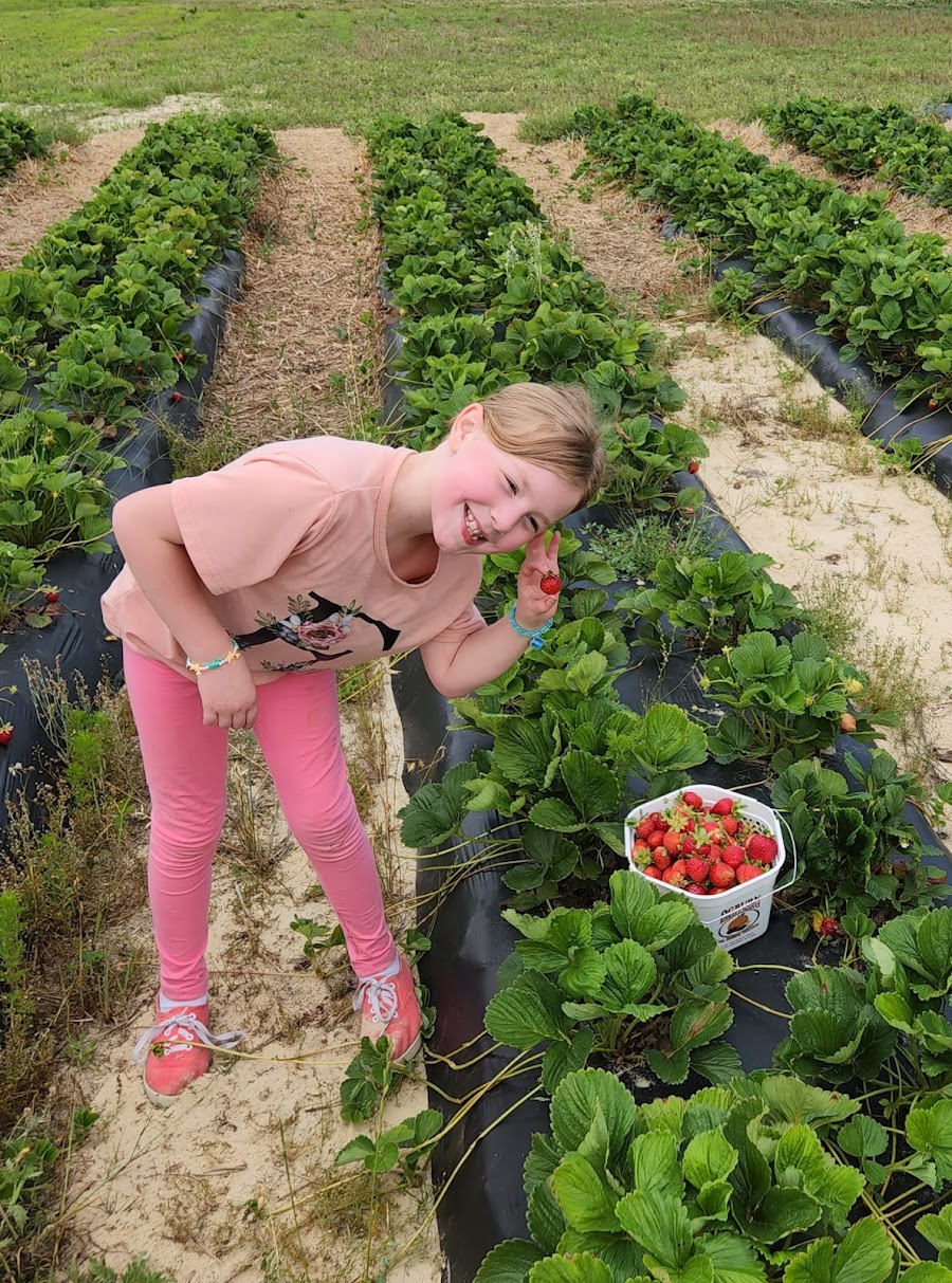 OGBURN BERRIES AND PRODUCE