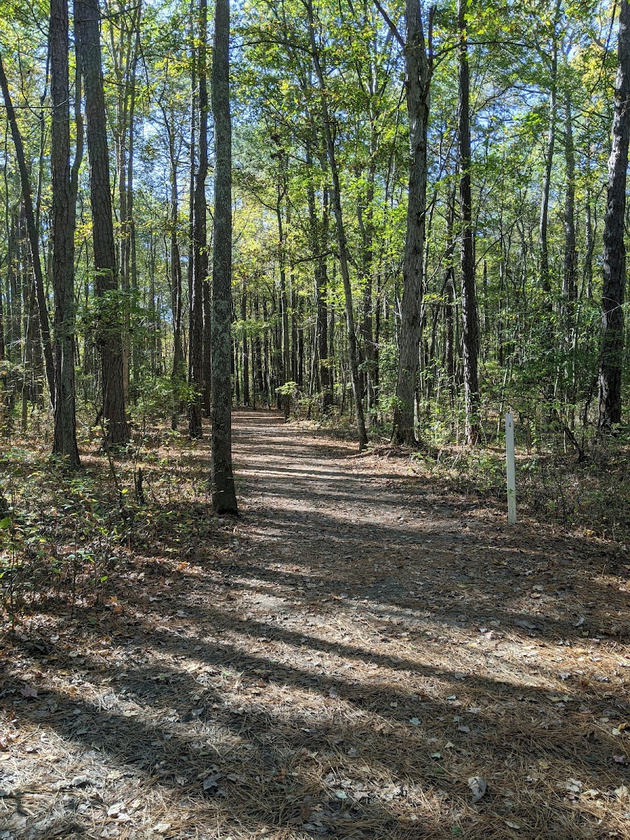 Huguenot Park