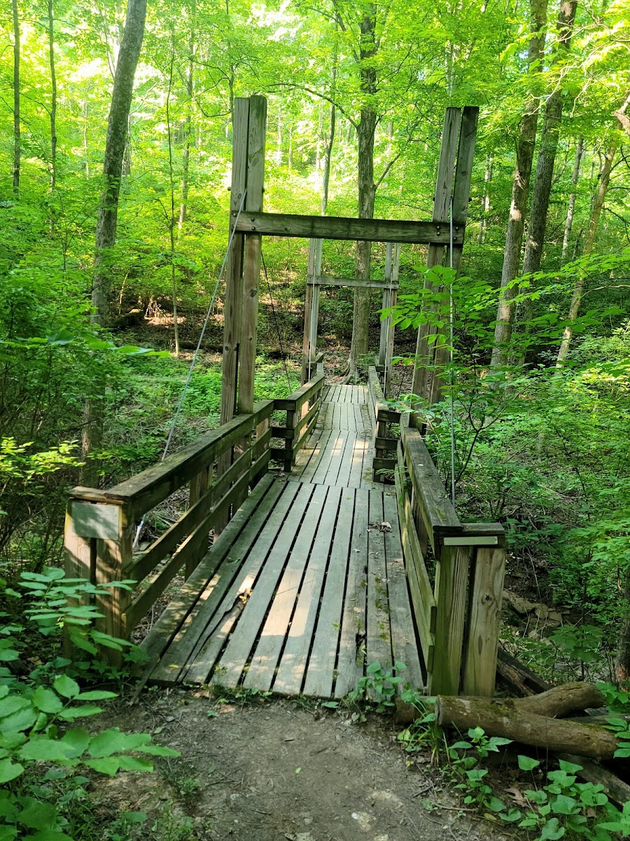 Mt. Airy Forest