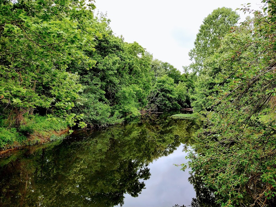 Seneca Park